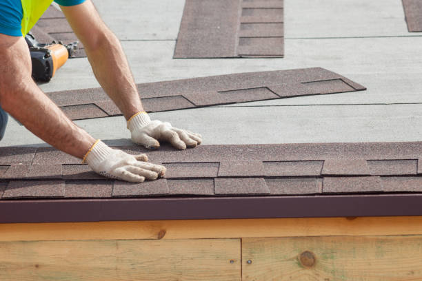 Best Asphalt Shingle Roofing  in Berkeley, IL